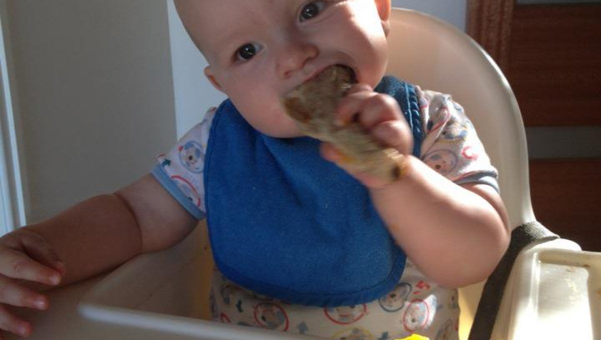 Baby Led Weaning Starter Foods Baby Led Weaning Starter Foods