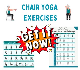 CHAIR YOGA EXERCISES Banner