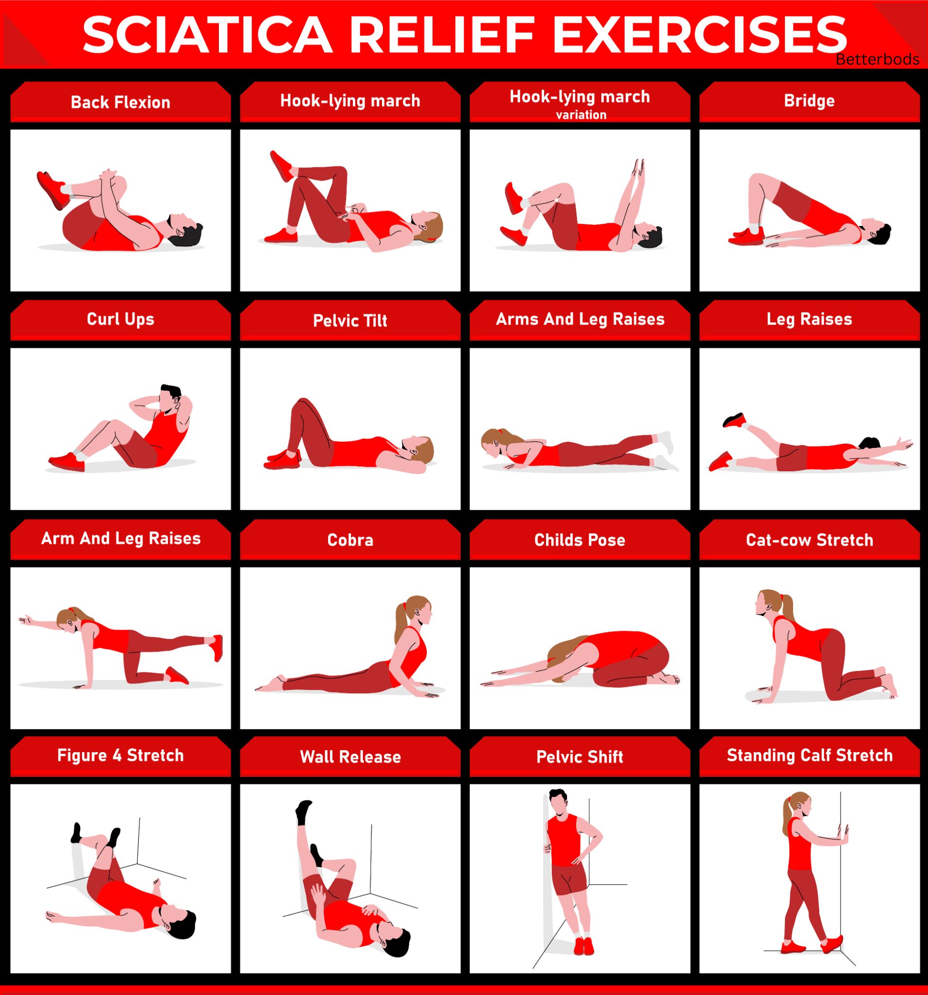 Sciatica Relief Exercises Poster